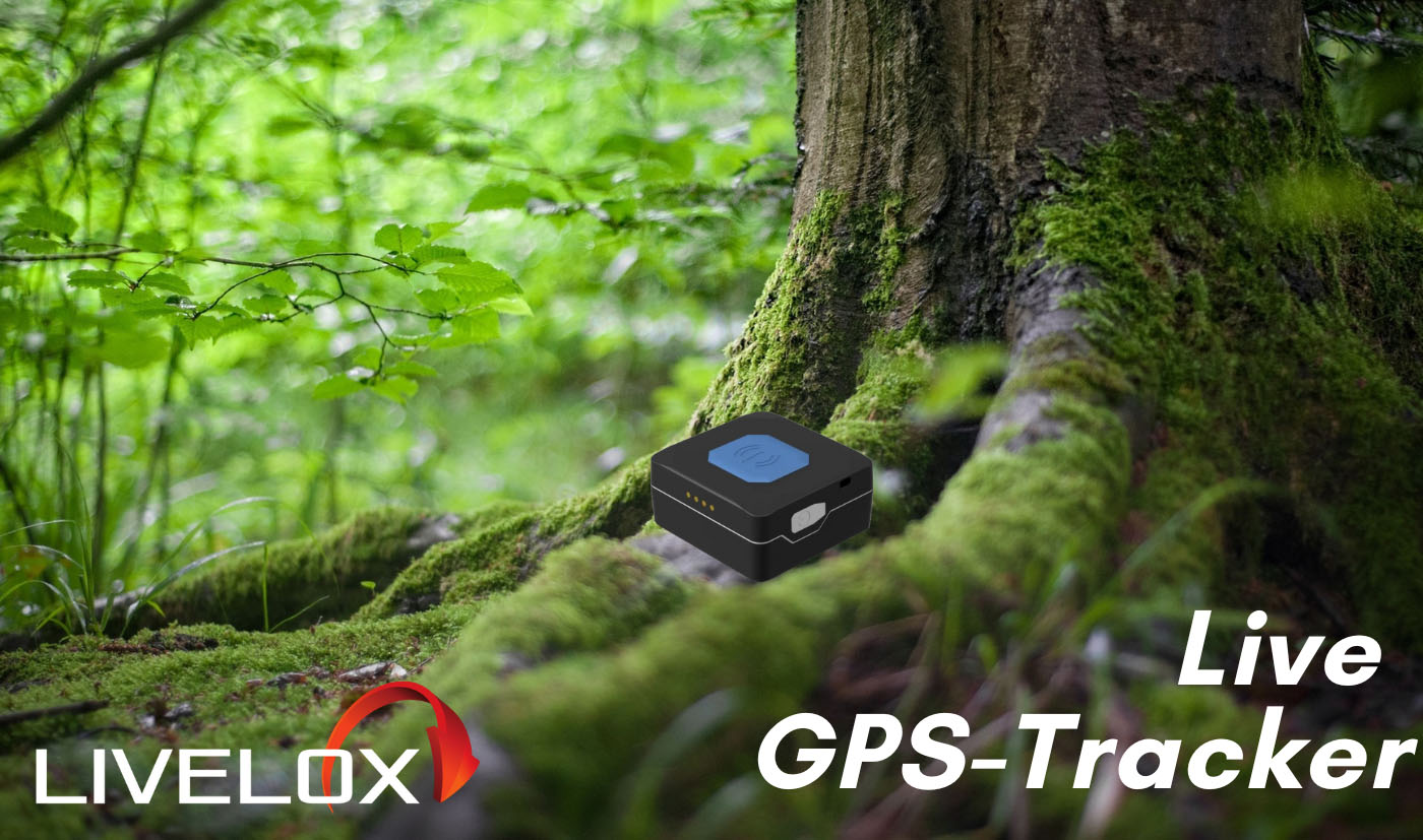 Livelox GPS trackers for your club s trainings and competitions