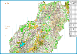 Aguiar da Beira FE P. Selección Larga