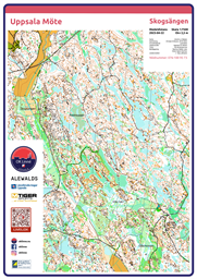 Nåsten kartutsnitt 7500 A3