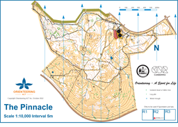 The Pinnacle