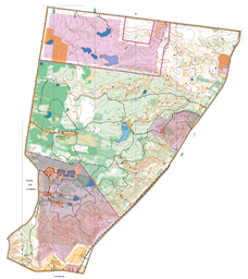 Oak Hill Map