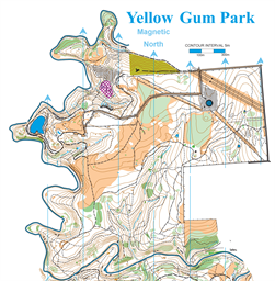 YellowGumMasterMay2023