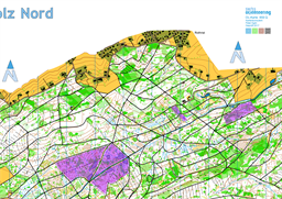amap_Langholz_2020_10000_LV95_original_OCAD2020