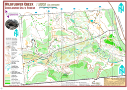 gurulmundi_2023_untiled