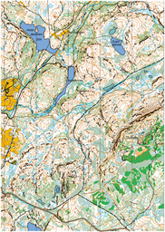 Bymarka nord. Freidig orientering.