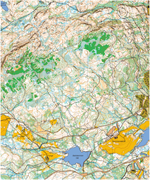 Iladalen Freidig orientering