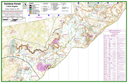 20231015_RainbowForest_Map