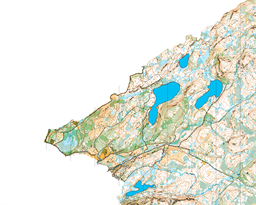 Bymarka-vest-nord-NTNUI-aug2023-ocd10