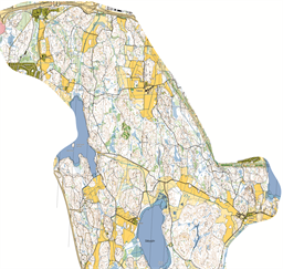Utsnitt_Livelox