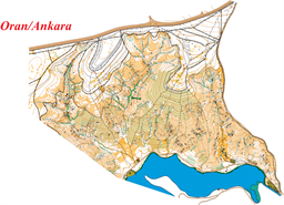 oran kesik