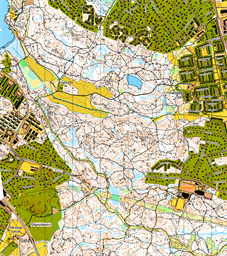 Rinkebyskogen 231011 bakgrund for Livelox