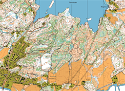 Rödjan 230115