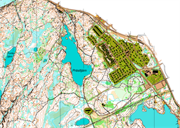 Knipeflåg