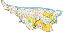 V-hemmet livelox image