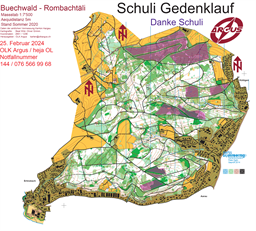 Buechwald Schuli Gedenklauf