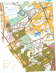 kartutsnitt sprint 29 mars
