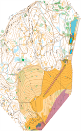 Utsnitt Sprintstafett 2024 4000 OCAD 12 TILL TRYCK