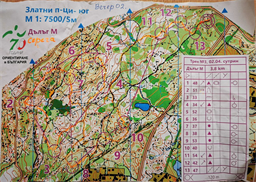 photo_5215535704619212903_y