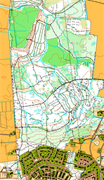 Skaraberg skog 240401 15