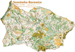 Sosnowka_Borowice_2024 10