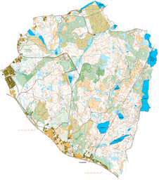 Romtjärnen 20230905