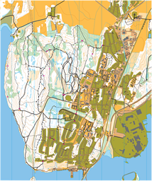 2018 Agnhammar MTBO-karta - 20240517