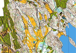 Delsjön-Knipeflåg 221223 Orig_utsnitt IFK OCAD11 från Lars 2024-