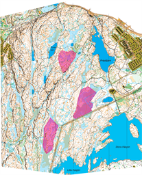 Björnåsberget_(GKR_OG659-220324)-OCAD11