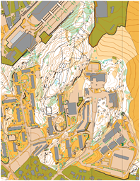 Skåreråsen 2024