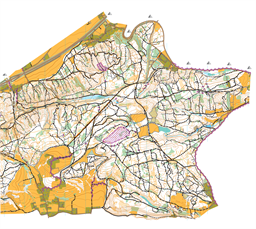 Faak MTBO 2024-livelox