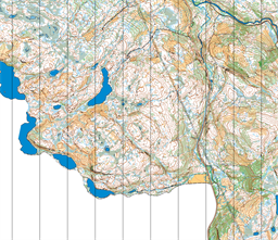 Selbuskogen-2019-Vers-8--14-7-2019