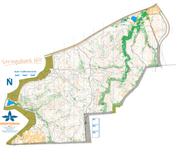 Stringybark May 2024