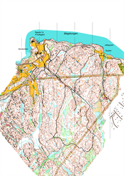 Layout Livelox 2024-08-16