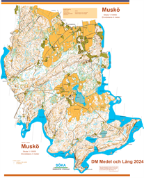 Muskö240624_DM-lång