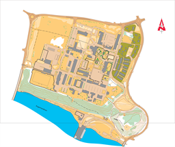 Nipan_8augi2024_prel