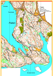 Flaten kartutsnitt 10000 2024-08-18