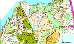 Roxmo - utsnitt höstspringet 2024