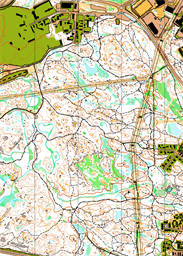 Stadssskogen-Tingstuhöjden 2023