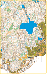 KARTUTSNITT ALUNSJØEN10000