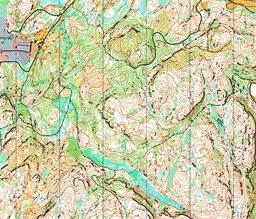 Stor-Gimse-2024-09-22_M-10000_OC20