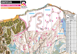 Kinpeflåg Canvas 1 Multi