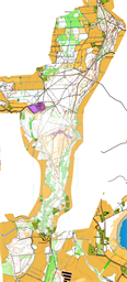 Högasand sprint/skog