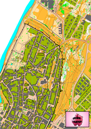 Visby sprint 2020