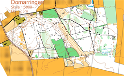 Domarringen