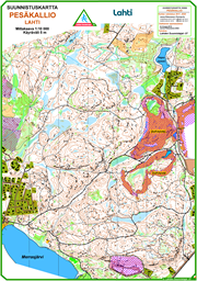Pesäkallio-2022