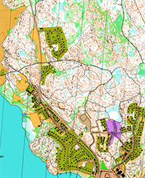 Tosterön ISOM2017 23 juni