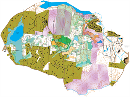 NagogHill_10000Scale_CourseSetClone