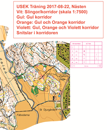 Vit korridor