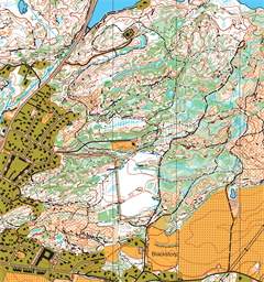 Lipered-Rödjan-Skogsbo 250101