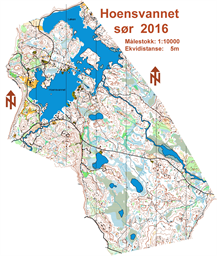 Hoensvannet sør